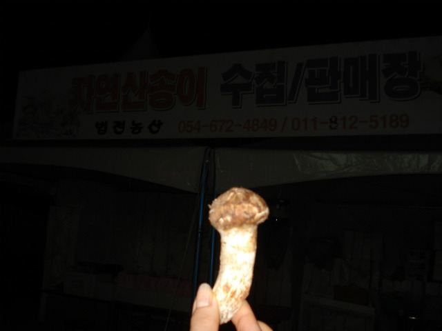 봉화주유소 이미지