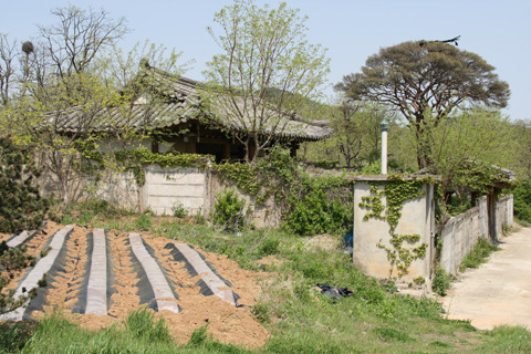 조*학 이미지
